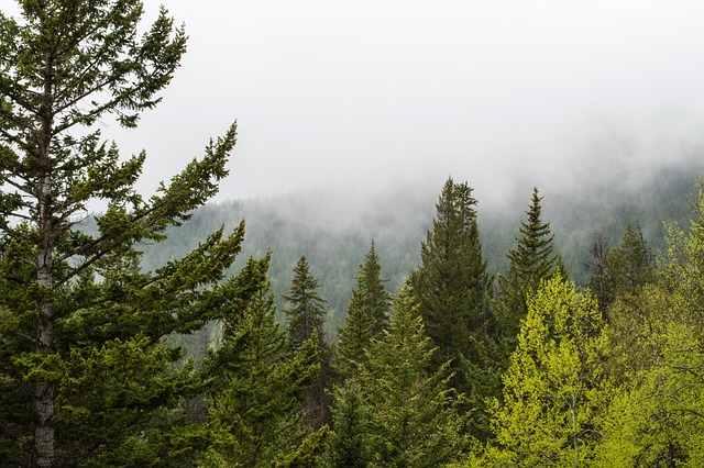 The Historic Significance of the Canadian Rockies