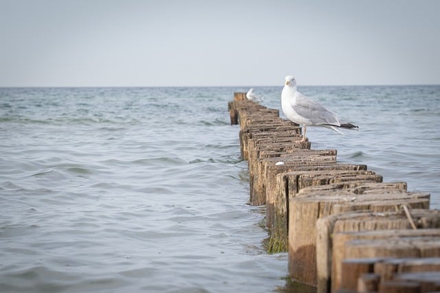 The Historic Significance of the Bluenose II in Nova Scotia
