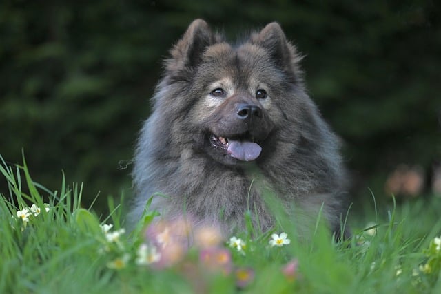 Exploring the Historic Significance of Banff National Park